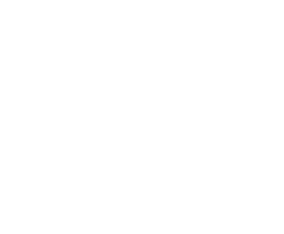canal 1
