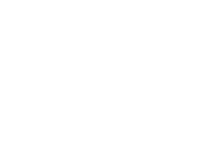 canal 4